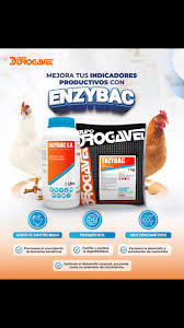 ENZYBAC DROGAVET MISTIPLAS