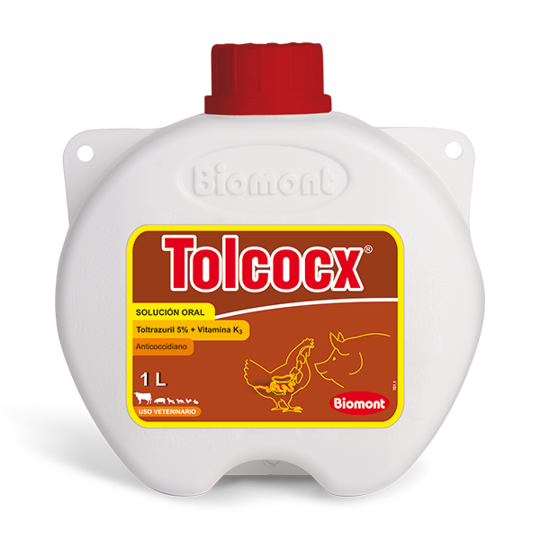 TOLCOCX MISTIIPLAS