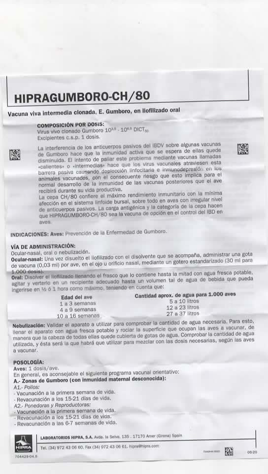 HIPRAGOMBURO CH/80 x1000 DS hipra mistiplas la joya pedregal