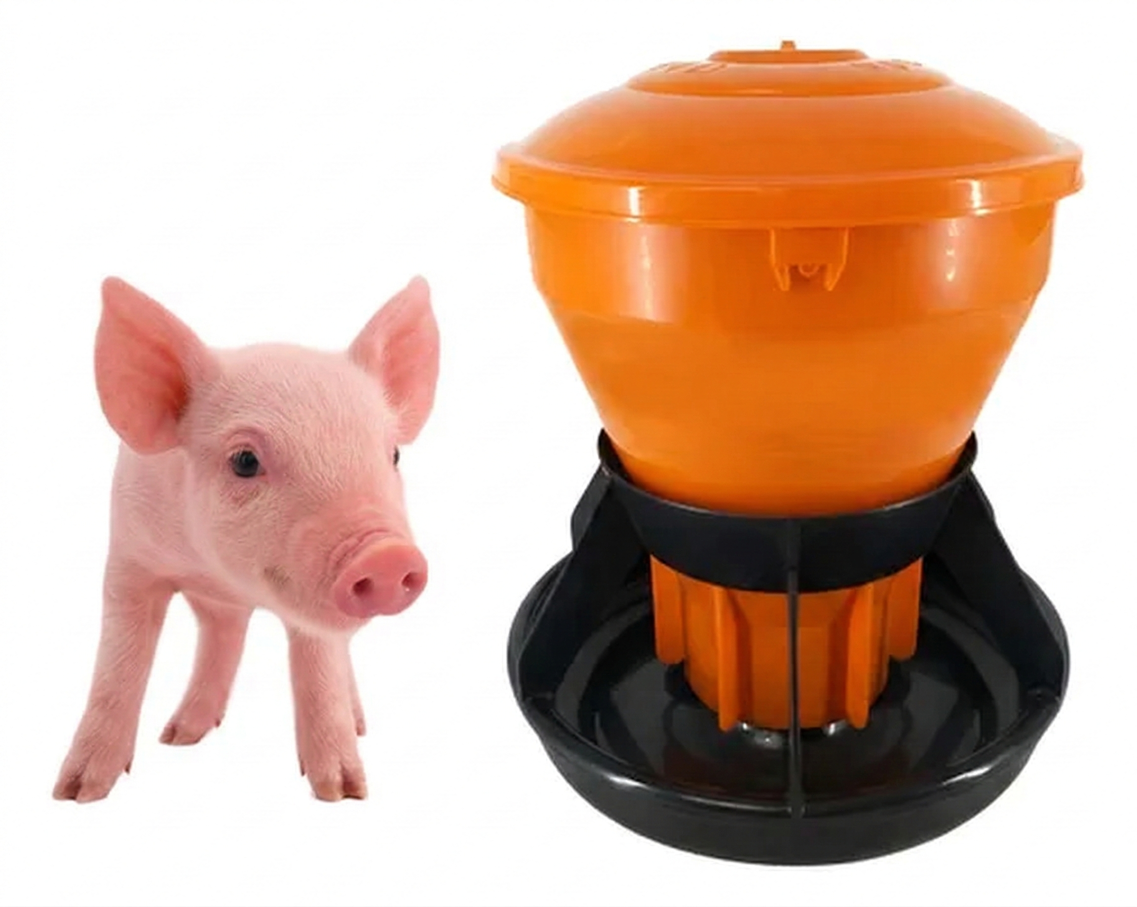 COMEDERO CERDO PVC NARANJA NEGRO