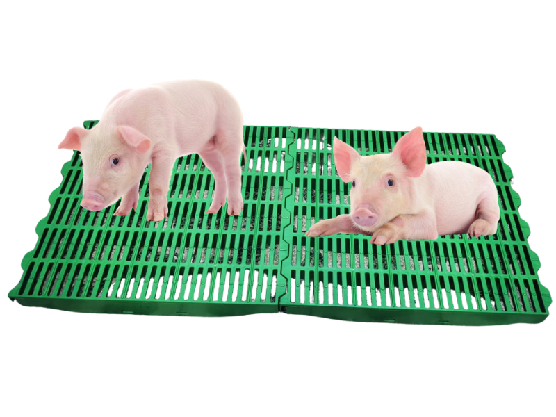 PISO SLAT PARA CERDO 60X60 CM MISTIPLAS