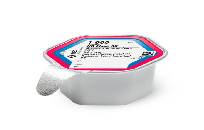 SPHEREON NOBILIS MA5+CLONE 1000 DS MISTIPLAS