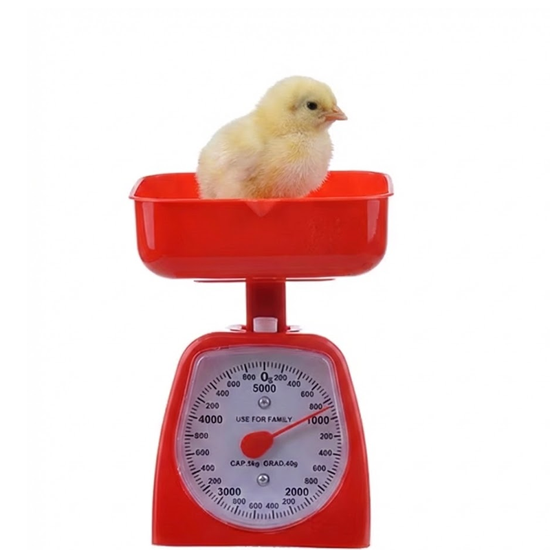 BALANZA AH-30-KCA 5KG MISTIPLAS