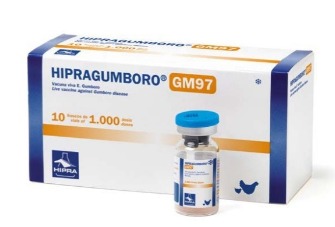 VACUNA HIPRA GUMBORO GM97 x1000 DS MISTIPLAS